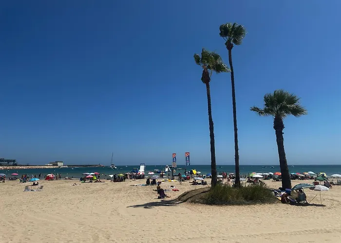 El Verano * Torrevieja